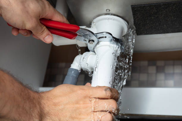 Best Professional water damage repair  in Winchester, KY