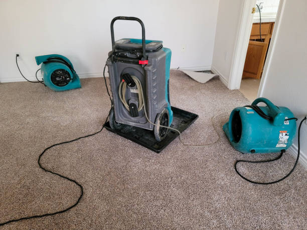 Best Carpet water damage restoration  in Winchester, KY