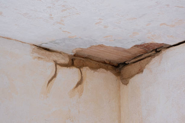 Best Flood damage cleanup  in Winchester, KY